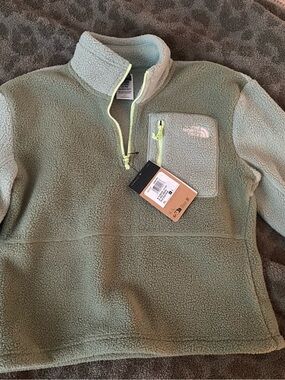 The North Face Sage Green Sherpa Half-Zip Pullover